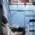 Loveland Feed & Grain