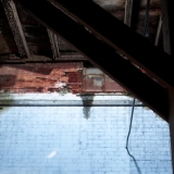 Loveland Feed & Grain