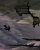 Native Land (detail)
