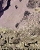 When Will You Travel? (detail)