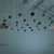 Rounds: speaker cloud